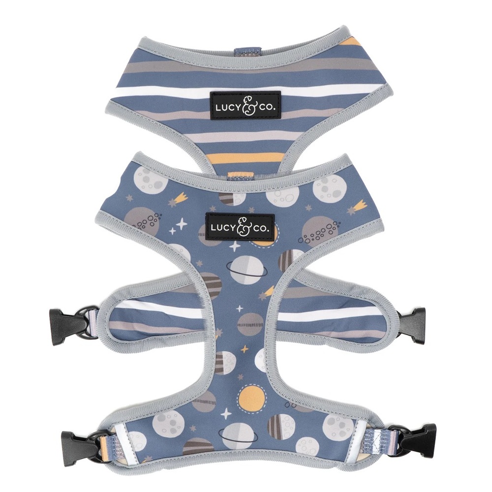 Lucy & Co No-Pull Dog Harness Reversible Gray & Blue Planet & Stripe Dog Harness
